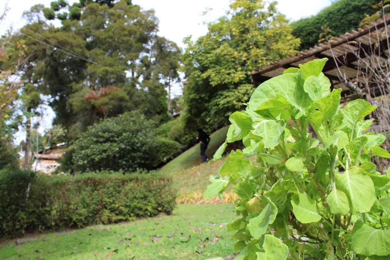 Casa Aconchegante No Capivari Campos do Jordão Buitenkant foto